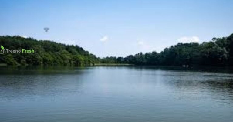 lake texoma should be capitalized